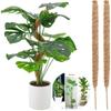 DIY Modeling Plant Climbing Rod Climbing Vine Coconut Palm Rod Can Be Bent and Shaped Moss Rod Green Dill Gardening Pillar