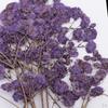 Засушенные цветы, Прессованные цветы, Сделай сам, Карточка для стола, Каталожная карточка, Украшение 14,5x10,5 см