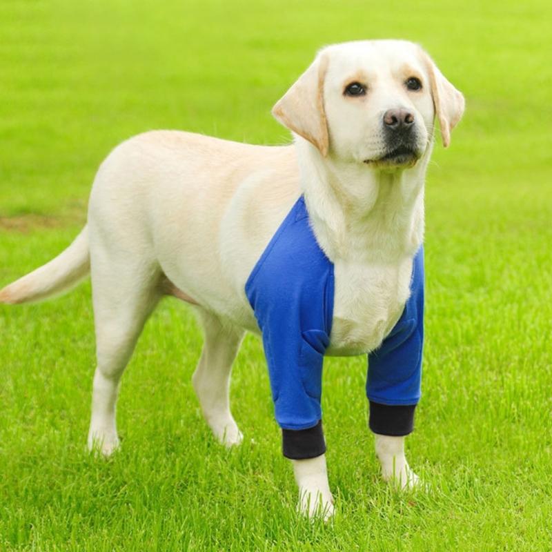 Adjustable Dog Elbow Bracer Pet Knee Brace Protector for Front Leg Pet Recovery Sleeve for Dog Elbow and Leg Support