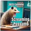 Календарь с забавными кричащими опоссумами на 2025 год, плотный бумажный календарь с опоссумами на 12 месяцев, забавный подарок-шутка