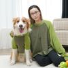 Одежда для питомцев, Полосатые, Для крупных собак, Кошек, Одежда для кошек, Товары для собак, Базовые футболки для французских бульдогов, Корги