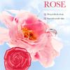 Rose Essential Oil Handmade Soap -  Face Wash Foam Facial Cleanser Whitening Nourishing Moisturizing Anti Acne Body Bathing Facial Soap