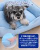 JEMA Gemma Dog and Cat Cooling Summer Pet Summer Pet Pet Dog Cat Ultra Cooling Composite 3D Heat Blue Bed, Bed, Washable, Bed, Sofa, Cushion, Bed,