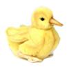 Hansa White Tailed Duckling (20cm L)