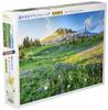 APPLEONE Distant Mount Rainier Jigsaw Puzzle X 38 Made In Japan 500-269 (USA) 500-Piece (53 Cm)