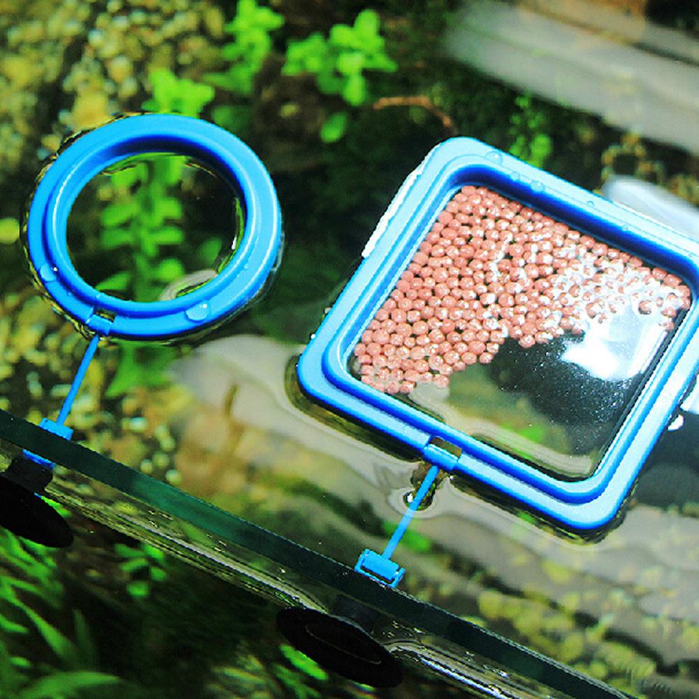 Aquarium Supplies Small Tropical Fish Feeding Circle Small Goldfish Feeding device Aquarium Feeder Round