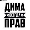 Tri Mishki LBH556 # 15*16 см Дима всегда прав, автомобильная наклейка, забавные виниловые наклейки, аксессуары для мотоциклов, наклейки