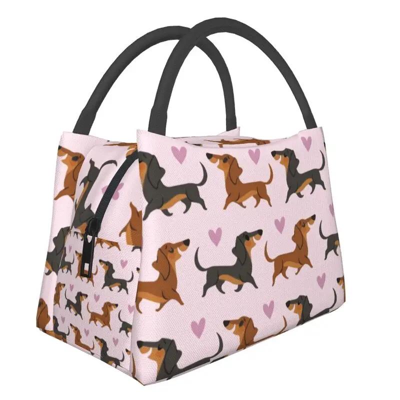 Симпатичный узор таксы, изолированный ланч-бокс для женщин, барсучья колбаса, охладитель для собак Wiener, термобокс для еды, офис