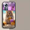 Милый чехол для телефона с хомяком для Redmi Note 13 Pro Plus 14 Pro+ 12S 12 11S 11T 11E 11 10S 10 9S 9 Xiaomi Capa TPU