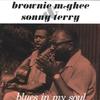 LP Пластинка SONNY TERRY & BROWNIE MCGHEE - Blues In My Soul ACV2101 Doxy 2018 Европа Блюз