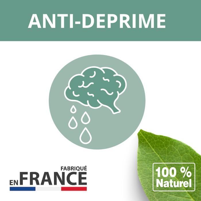 Aliment complémentaire - Néovéto - DEPRIME EXPERT - Lutte contre la déprime canine - Pour chiens - 100% naturel