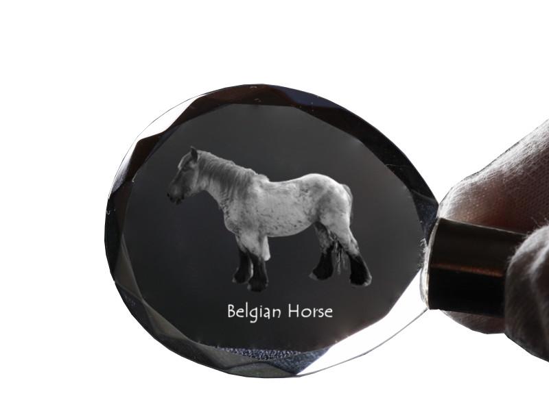 Belgian Horse - Pendant with a Picture of a Horse, Crystal Key Ring In a Gift Box, Unique Gift by Art-Dog Brand
