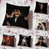 Чехол на подушку Singer B-Beyonce Ковбойский Премиум Комфорт Двусторонний Чехол для Подушки - Дизайн "Два в Одном" для Любой Комнаты и Салона Автомобиля