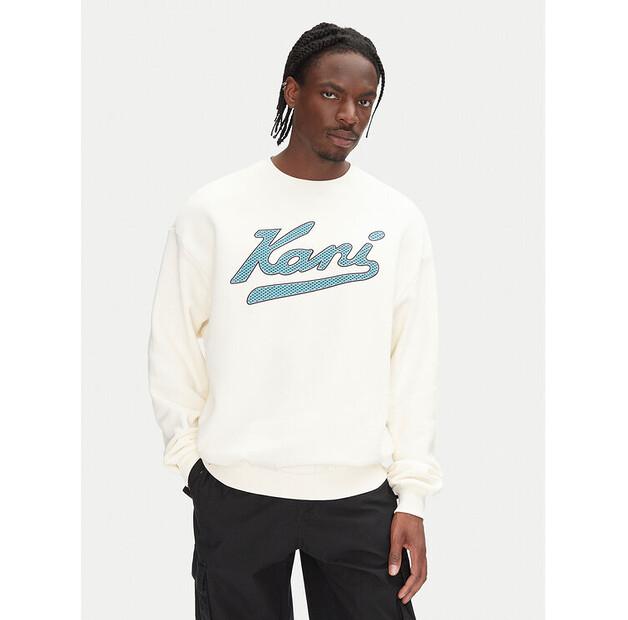 Толстовка Karl Kani Varsity Palm