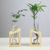 Glass Vase Tabletop Plants Flower Vase Flower Pot Test Tube Vase Plant Vases Home Garden Decoration