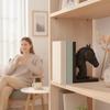 Книжные подставки в виде лошадиных голов, вылепленные, с Г-образными основаниями, прочные, для стола, кабинета