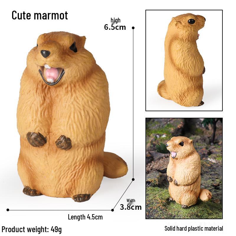 Cute Animal Models: Japanese Raccoon, Flying Squirrel, Monkey, Rabbit, Squirrel, Shiba Inu, Tiger, Lion, Lizard Toy Set
