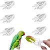 6 шт. держатель для корма для птичьей клетки, зажимы для фруктов и овощей для попугаев, зажим для кормушки для птичьей клетки для волнистых попугаев, какаду, ара, корелла, конуре