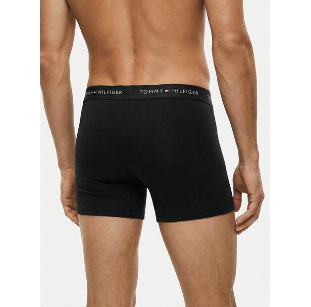 Боксеры Tommy Hilfiger UM0UM03751