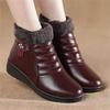 Plush Fleece Boots Winter Warm Short Cotton Boots Waterproof Non-slip Platform Mother Shoes