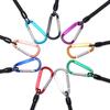 Camping Camping Carabiner Portable Fishing Lanyards Spring Elastic Rope Anti-lost Phone Keychain