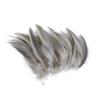 50pcs Natural Duck Feathers 8-13cm for Crafts DIY Jewelry Making Home Decoration Clothing Costume Sewing Accessory Pens Plumes
