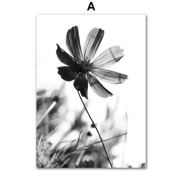 Black and White Flower Plant Picture Canvas Painting Wall Art Dandelion Butterfly Poster and Print for Modern Design Home Decor