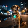 Светодиодный светящийся кулон для питомца, бирка для собак, кошек, ночная прогулка, ночник для собак, защита от потери, мигающий кулон