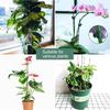Bendable Plant Support Bracket 22Pcs Plastic Metal Garden Stakes With Secure Clamps For Indoor Outdoor Gardening Use