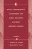 Книга Social and Emotional Adjustment and Family Relations In Ethnic Minority Families