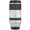 Canon RF100-500mm F4.5-7.1 L IS USM Super Telephoto Zoom Lens