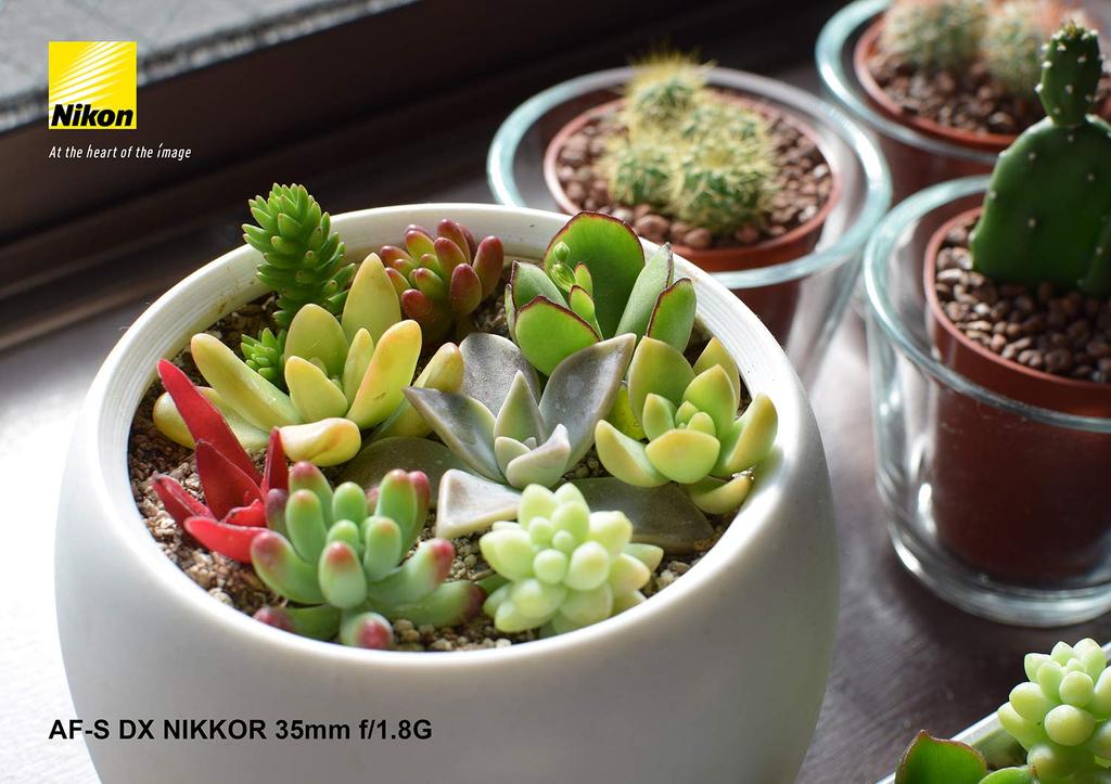 Nikon Single Focus Lens DX NIKKOR 35mm for Nikon DX Format Only AF-S f/1.8G