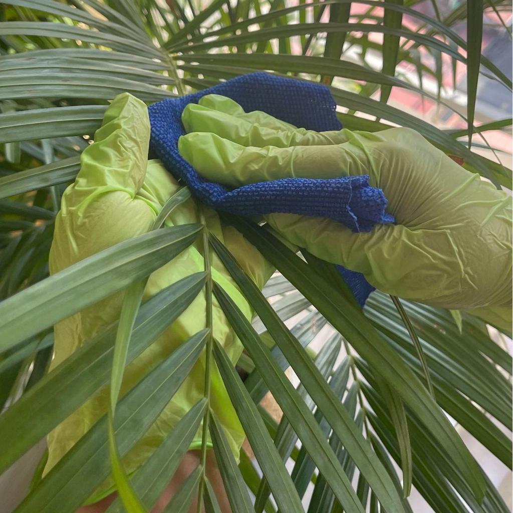 100pcs Disposable Nitrile Gloves Thickened Wear - Resistant Protective Food - Grade Gloves Complete In Colors Anti - Slip Gloves