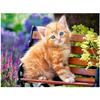 Full 5D Diy Diamond Painting Animal Cat Diamond Embroidery Cross Stitch Home Decor Handmade Gift