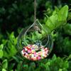 Ball Shape Transparent Vase Wall Hanging Bottle for Flower Decor Gift