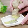 Convenient Garlic Ginger Grater Manual Garlic Masher New Garlic Crusher  Kitchen Tool