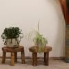 Teak Display Pads 27x20cm 2-Pack