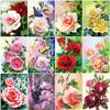 Полный 5D Алмазная картина Красивые цветы DIY Алмазная вышивка Алмазная мозаика Наборы для вышивки крестом Домашний декор Подарок