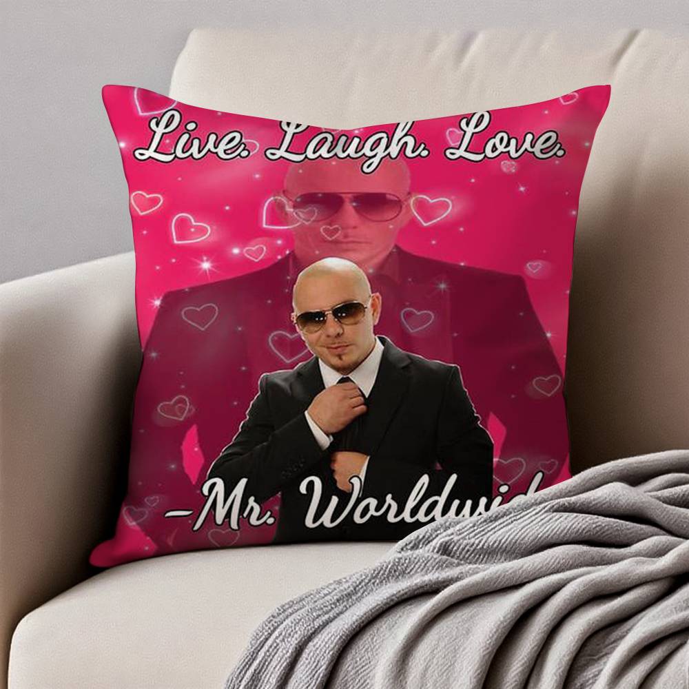 Mr Worldwide PPitbull Pillow Case Antidustmite Invisible zipper Sofa Bed