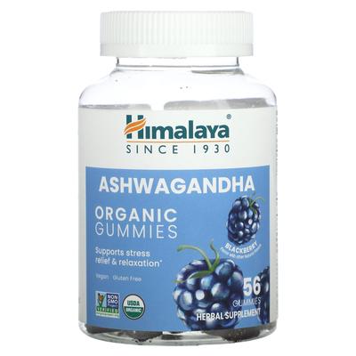 Himalaya, органические жевательные конфеты с ашвагандой, ежевика, 56 жевательных конфет