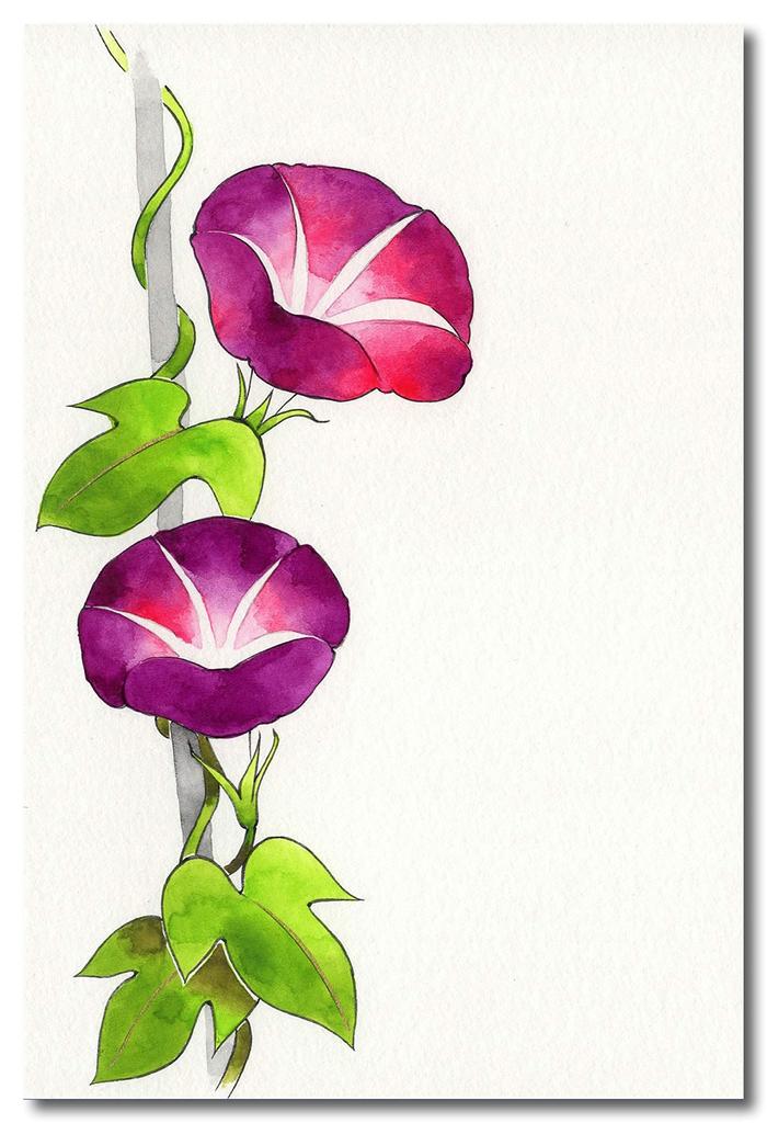 Краски для японской живописи Kissho Kansai Paint Set 3 Kansai 24 Colors Sumi-sai No. Переделано