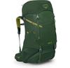 Рюкзак Ace 38 green canopy (Junior)