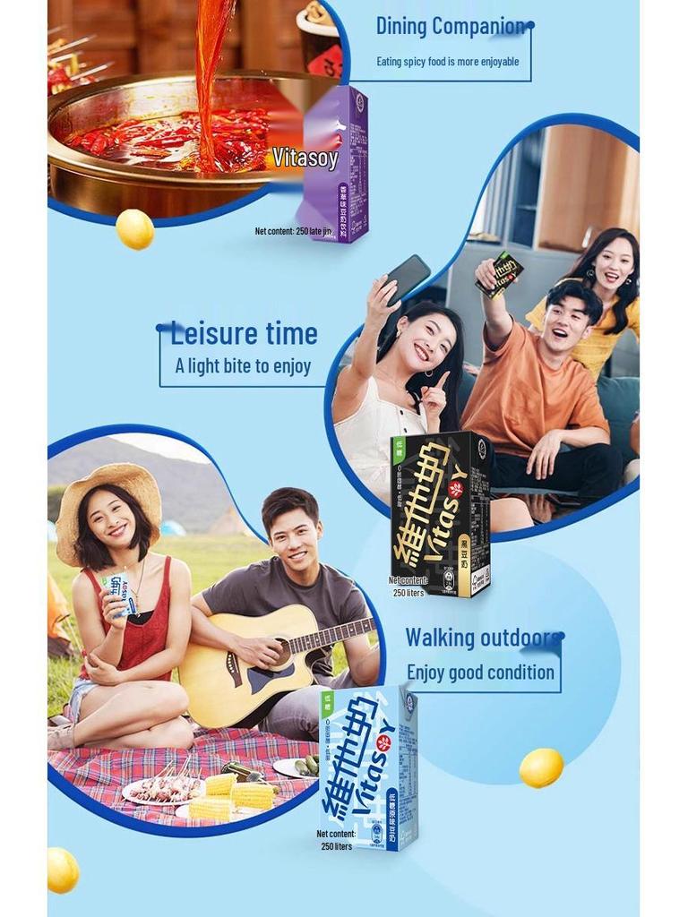 Vitasoy Original Vanilla Soy Milk 250ml, 24-Pack, Plant-Based Beverage