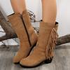 Fashion Fringe Knee High Boots Women Autumn Winter Brown Western Cowboy Boots Woman Med Heels Short Plush Warm Long Botas Mujer