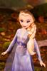 Disney Frozen 2 Forest Expedition Fashion Doll Playset с и Хани Мелен Ограниченная серия Анна, Эльза, Райдер, -