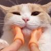 Novelty Feature Finger Cat Toy Mini Size Mini Finger Puppet Funny Funny Prank Gift  Pet Supplies
