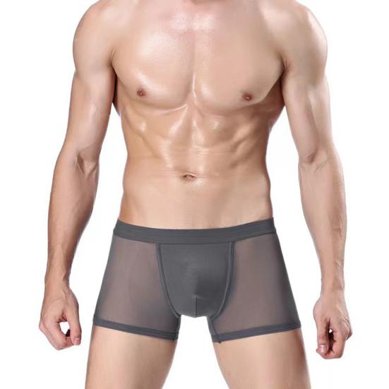 Men Boxer Underwear Mid-rise Perspective Mesh Yarn Sexy Shorts Panties Solid Color Hollow Panties Daily Wear