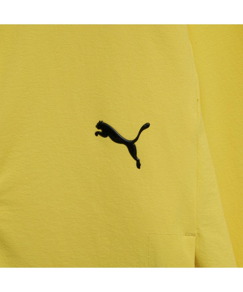 Puma Мужская спортивная одежда Плетеная ветровка M Aw Pa Wv Wb (94093702)