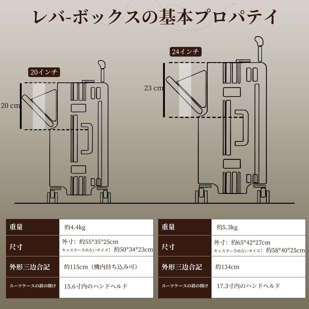 Business Equipped with TSA Quiet Double Storage Pocket [KPLDOL] Suitcase, Carry-on, Business, Trip, Rourke, Casters, (SILVER, S)