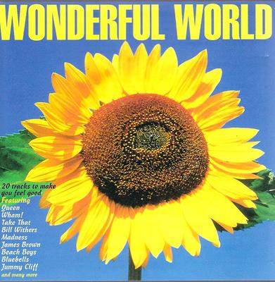 CD РАЗНЫЕ ИСПОЛНИТЕЛИ - Wonderful World DINCD89 Dino Entertainm 1994 UK Рок Б/У